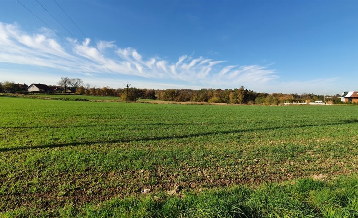 działka na sprzedaż - Czechowice-Dziedzice